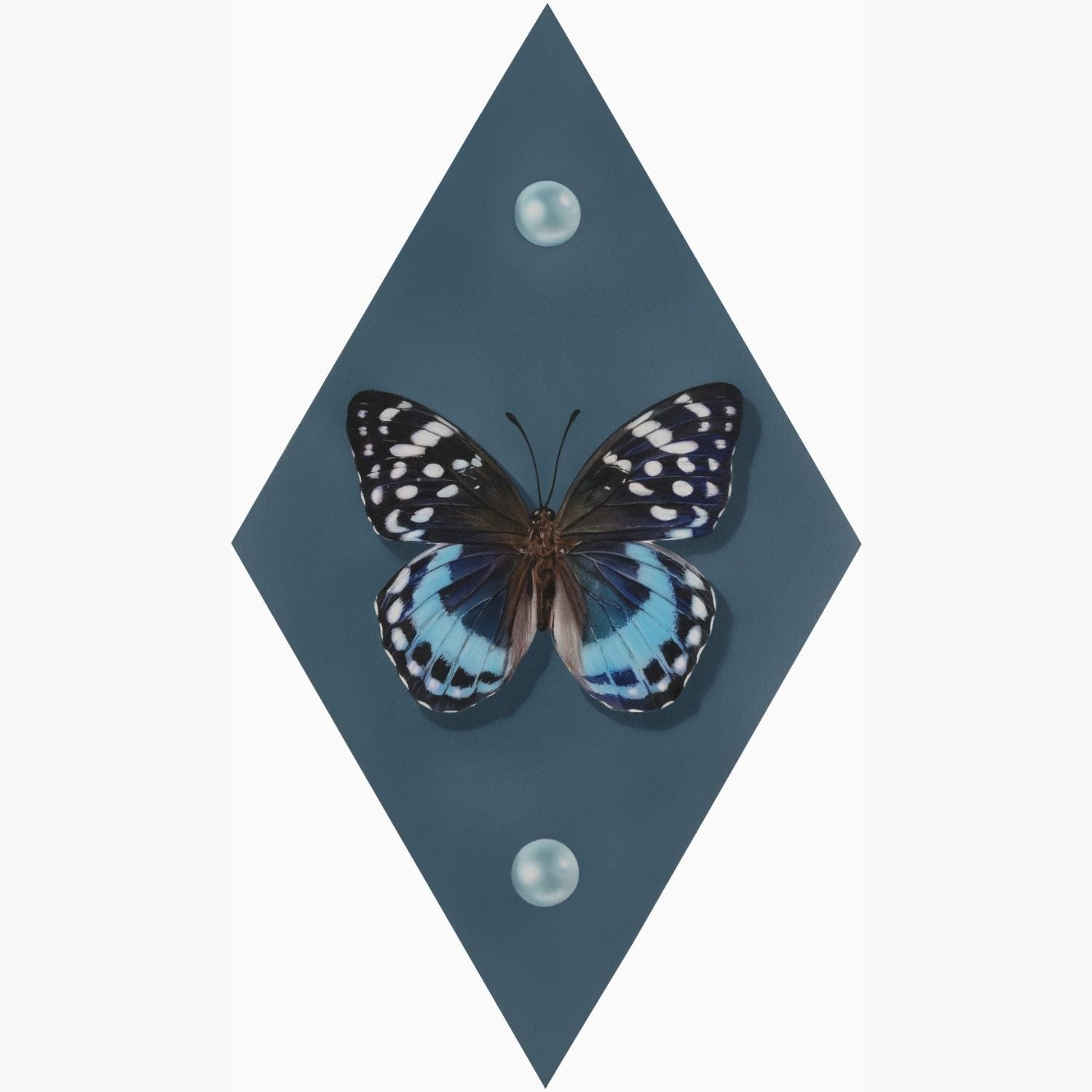 Airbrushed acrylic realistic painting of a butterfly on a diamond shaped birch panel