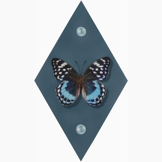 Airbrushed acrylic realistic painting of a butterfly on a diamond shaped birch panel