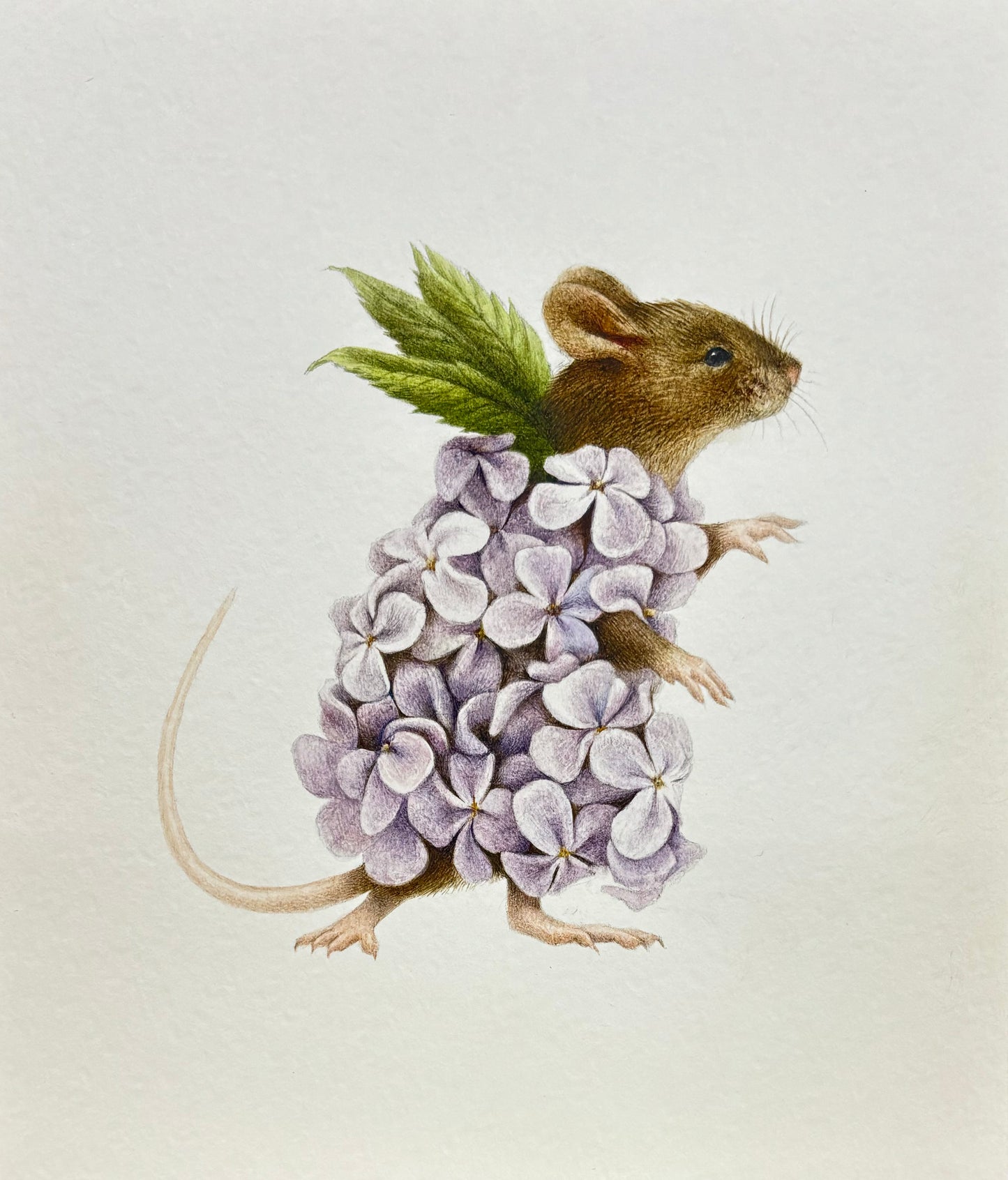 Illustration of a mouse wearing a lilac flower dress