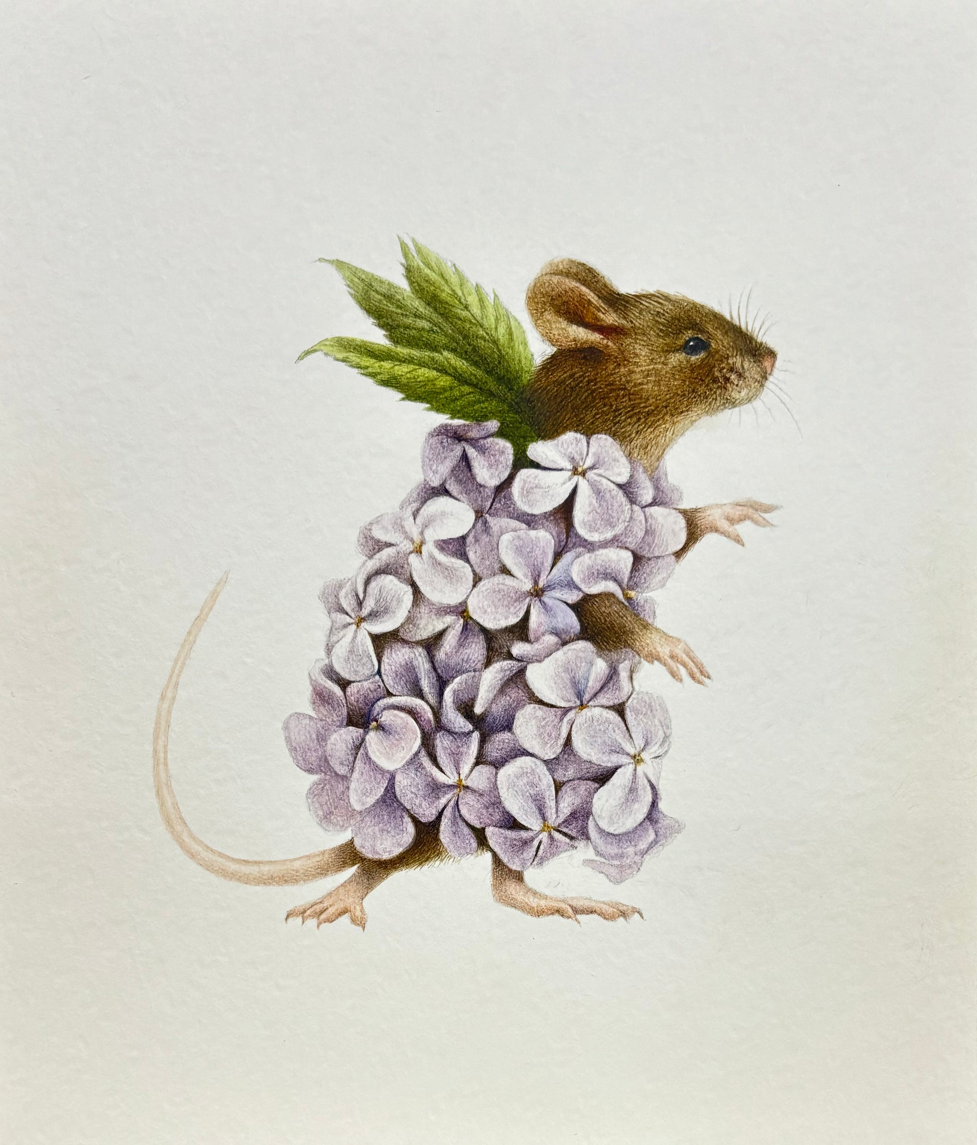 Illustration of a mouse wearing a lilac flower dress