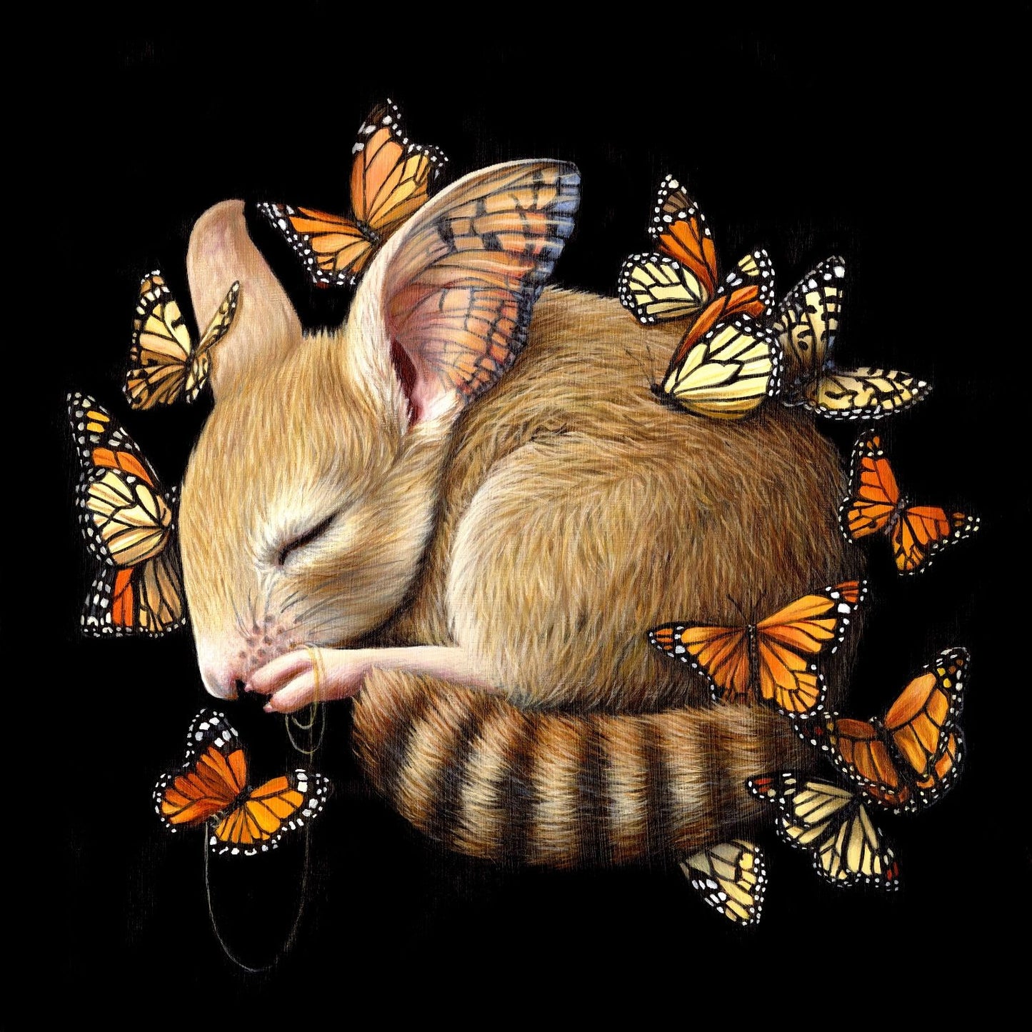 Müllerian Mimicry - Rachel Favelle - Quirky Fox 