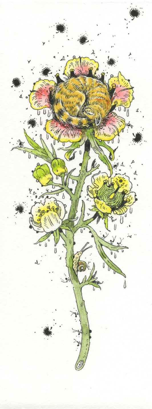 Original Illustration of a cat curled up in a flower. 
