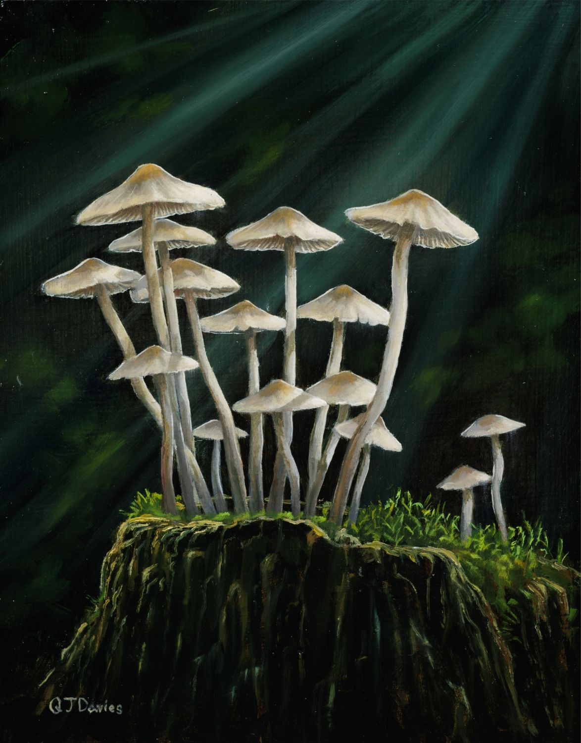 Moonlight Mottlegills Original Framed Painting by Quintin Davies