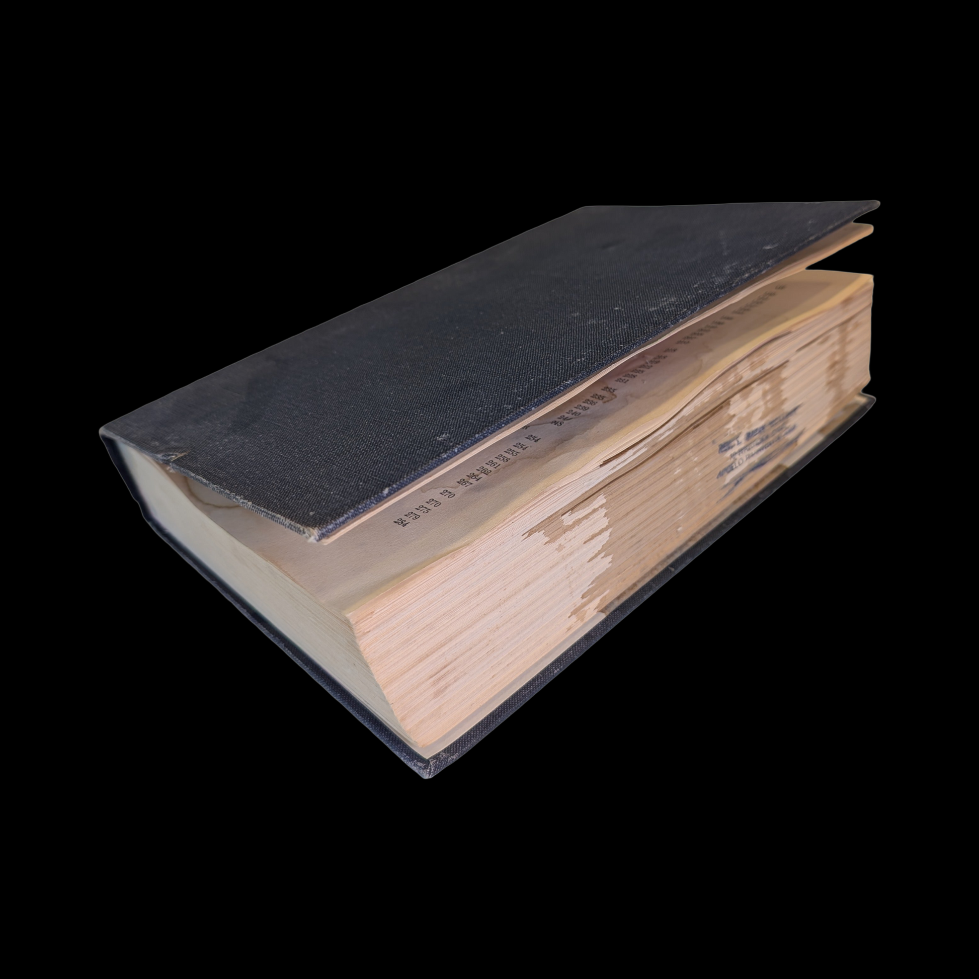 Squashed taxidermy mouse in an open book