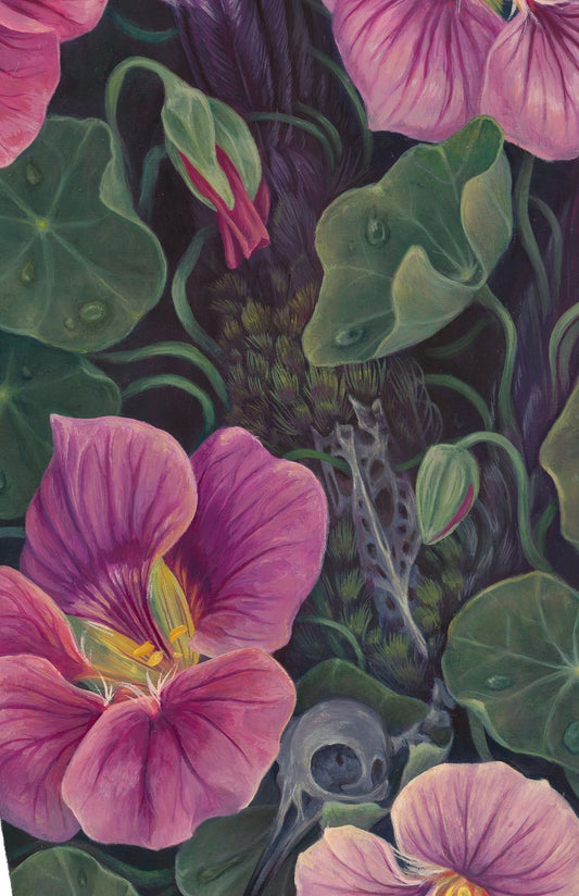 Close-up of pink flowers and green leaves with a dark background