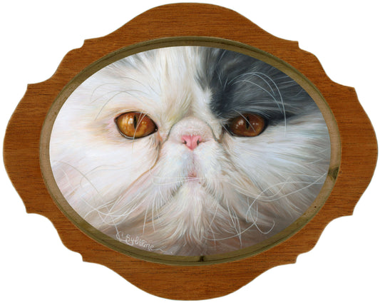 A framed close-up portrait of a fluffy cat with white and black fur and amber eyes, set in a warm brown wood frame with a brass-toned inner border.