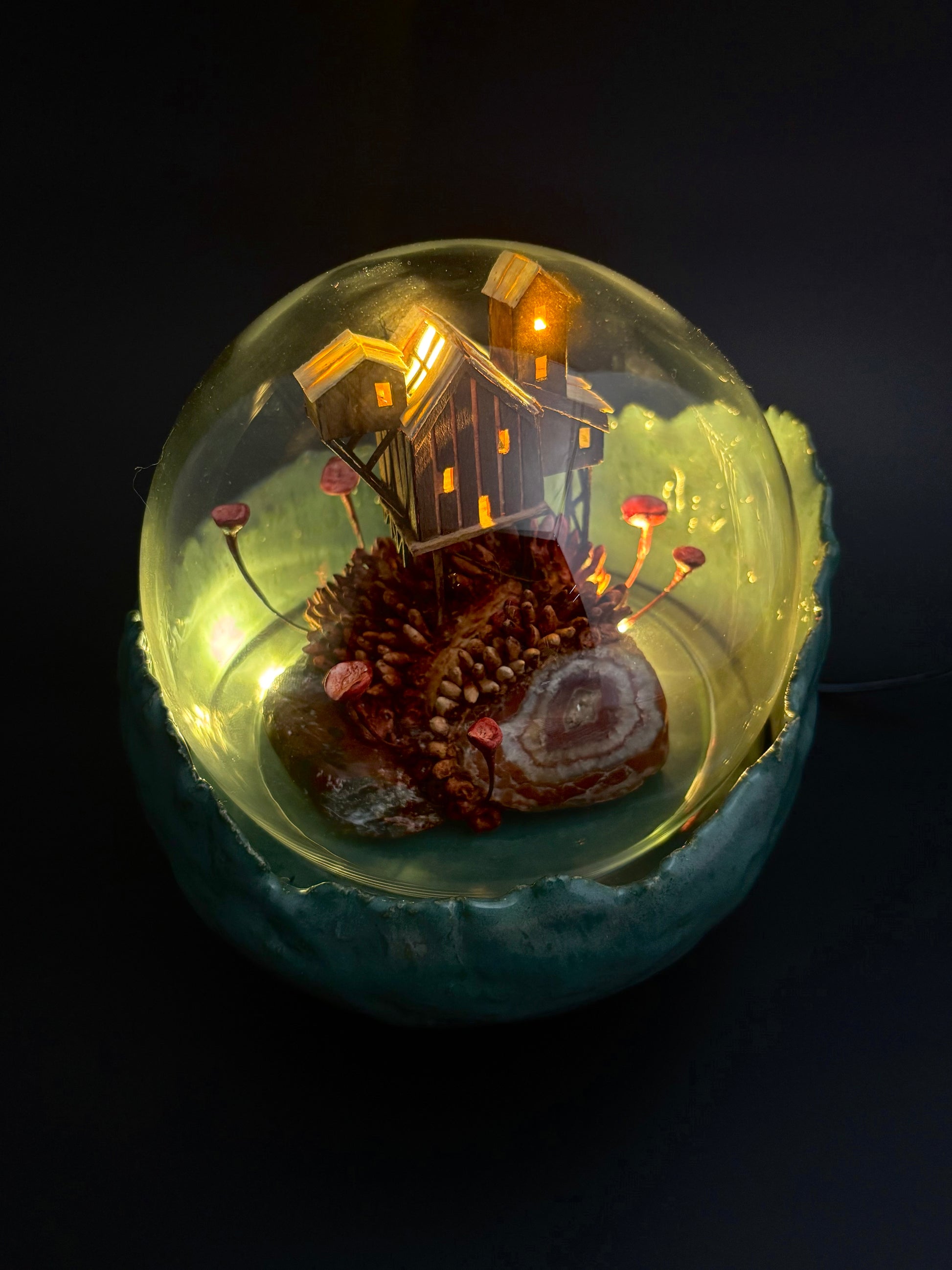 The Sweetness of Decay - Merlijn van de Sande - Quirky Fox 