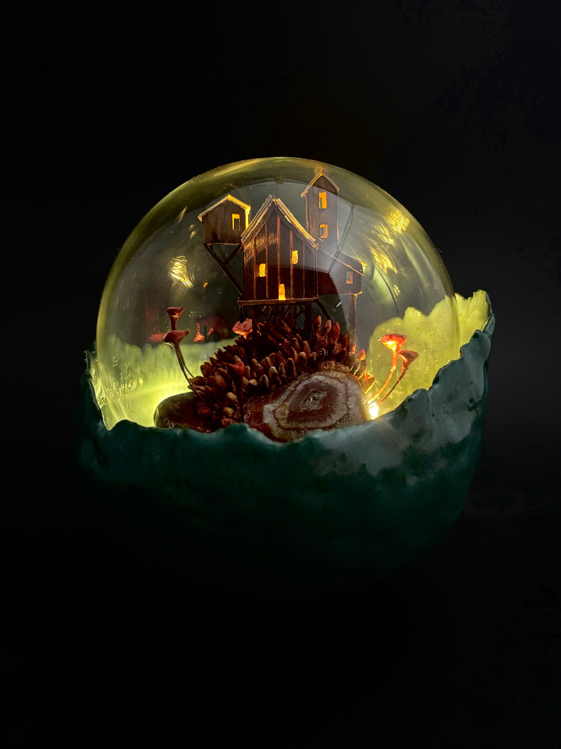 The Sweetness of Decay - Merlijn van de Sande - Quirky Fox 