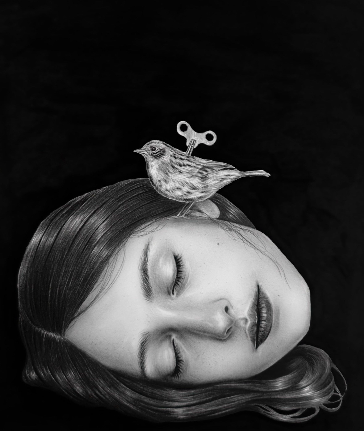 Illustration of a woman's face with a bird perched on her head against a black background