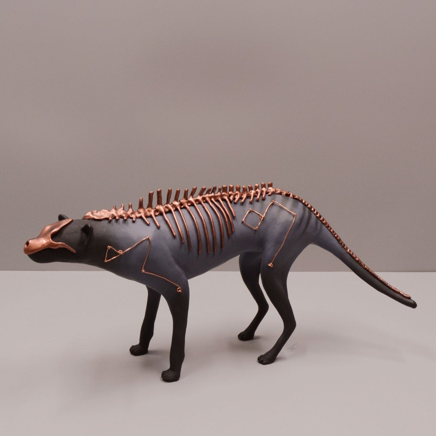 Thylacine Osseus Infinitus