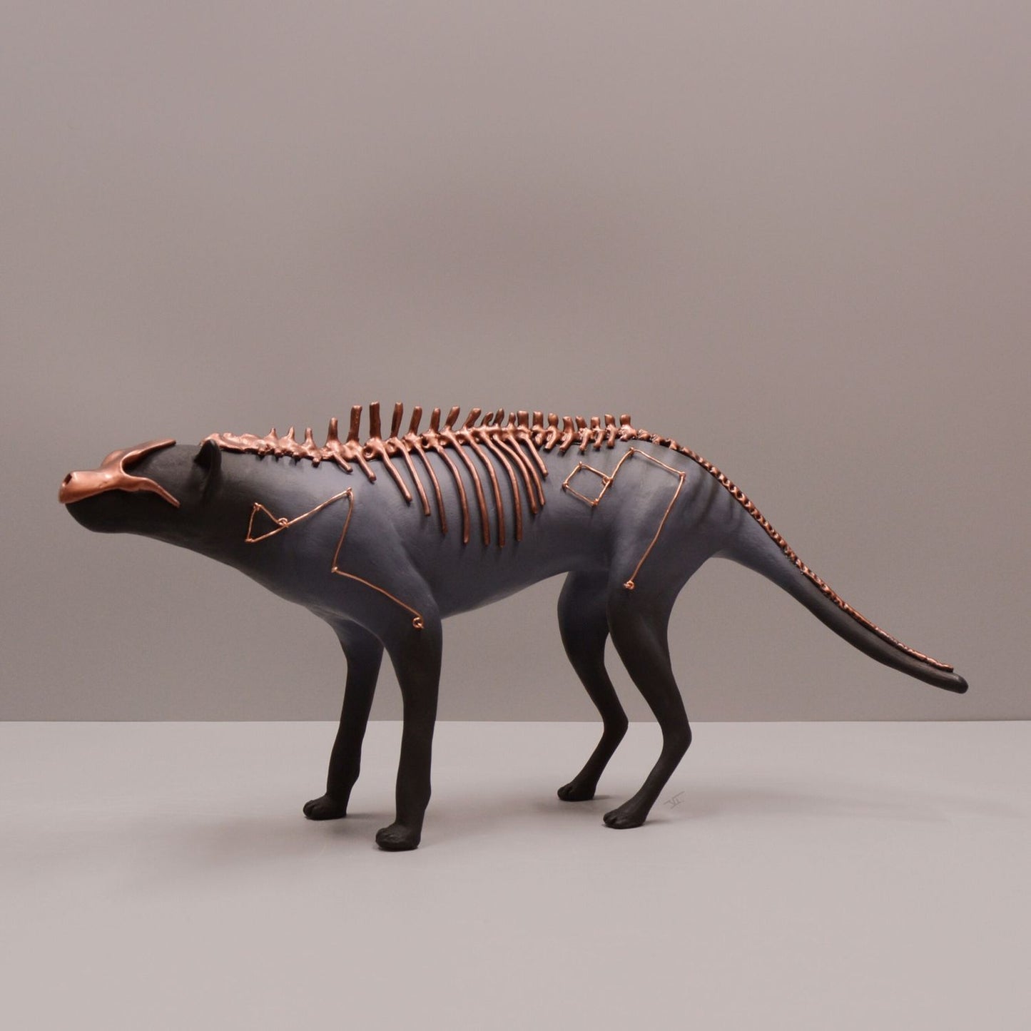 Thylacine Osseus Infinitus