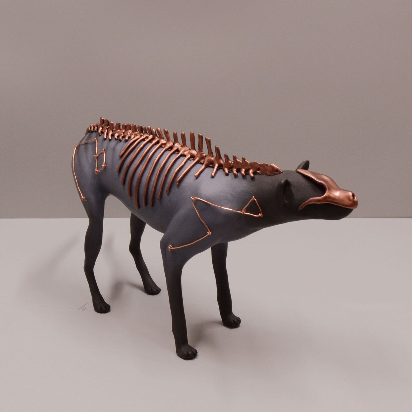 Thylacine Osseus Infinitus