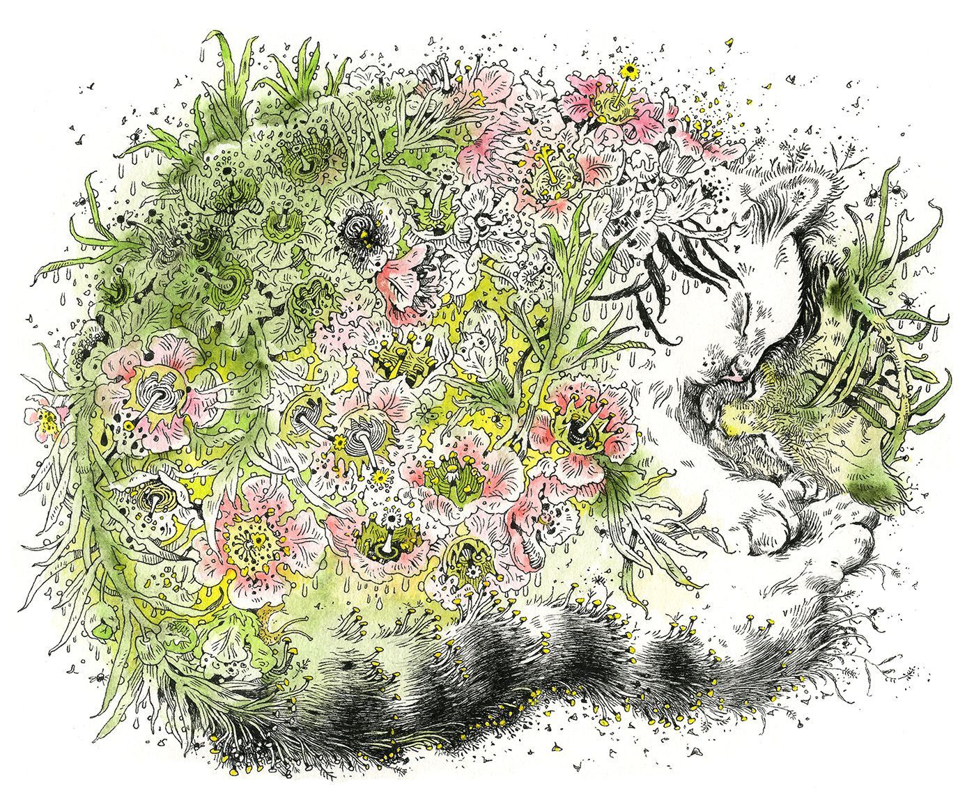 Ink drawing of a cat with flowers in its fur