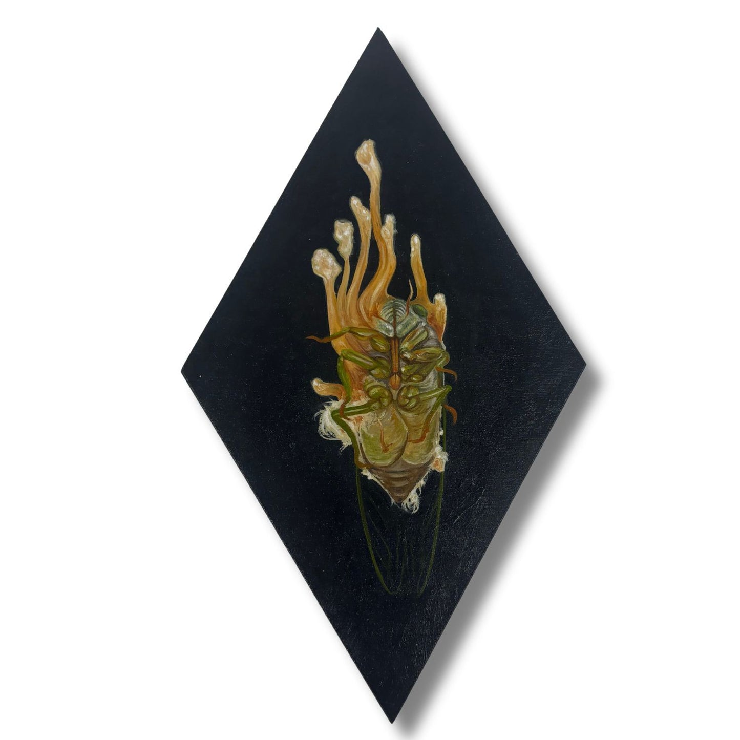 Artistic depiction of a dead cicada on a black diamond-shaped background