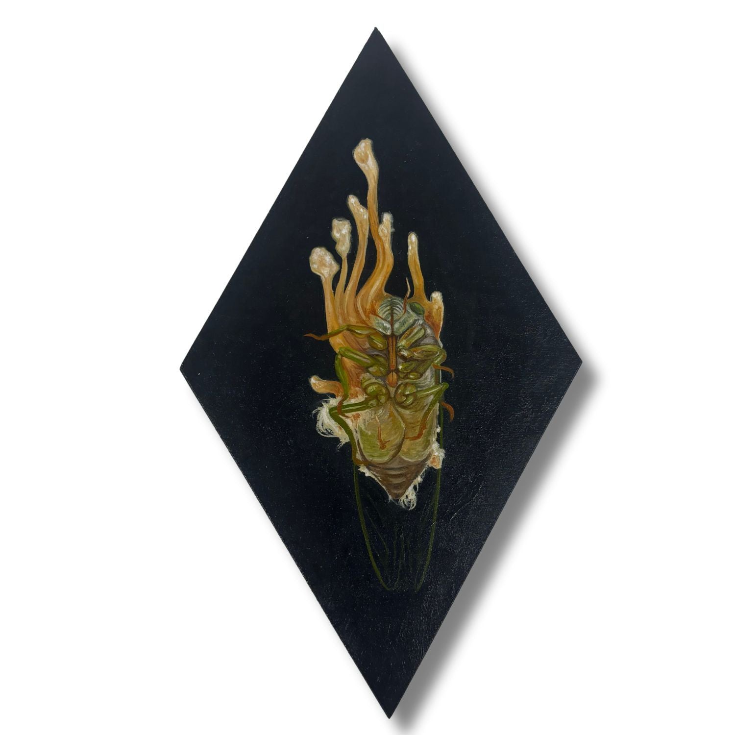Artistic depiction of a dead cicada on a black diamond-shaped background