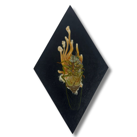 Artistic depiction of a dead cicada on a black diamond-shaped background