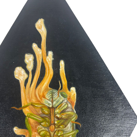Close-up of a detailed illustration of a decaying cicada taken over by fungi