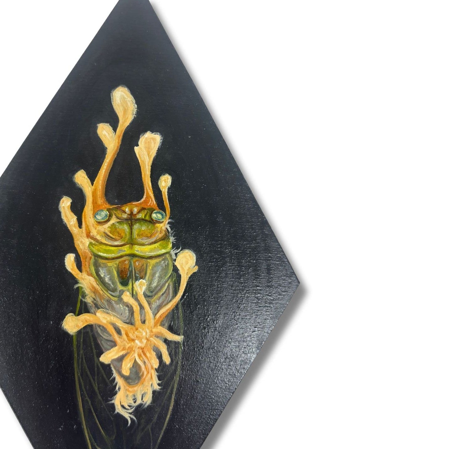 Artistic depiction of a dead cicada on a black diamond-shaped background