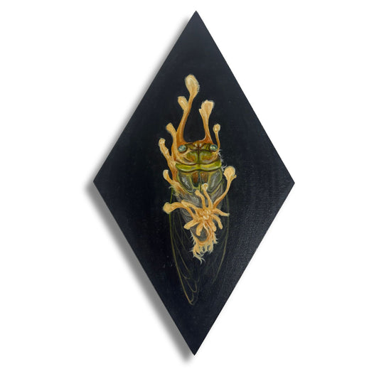 Artistic depiction of a dead cicada on a black diamond-shaped background