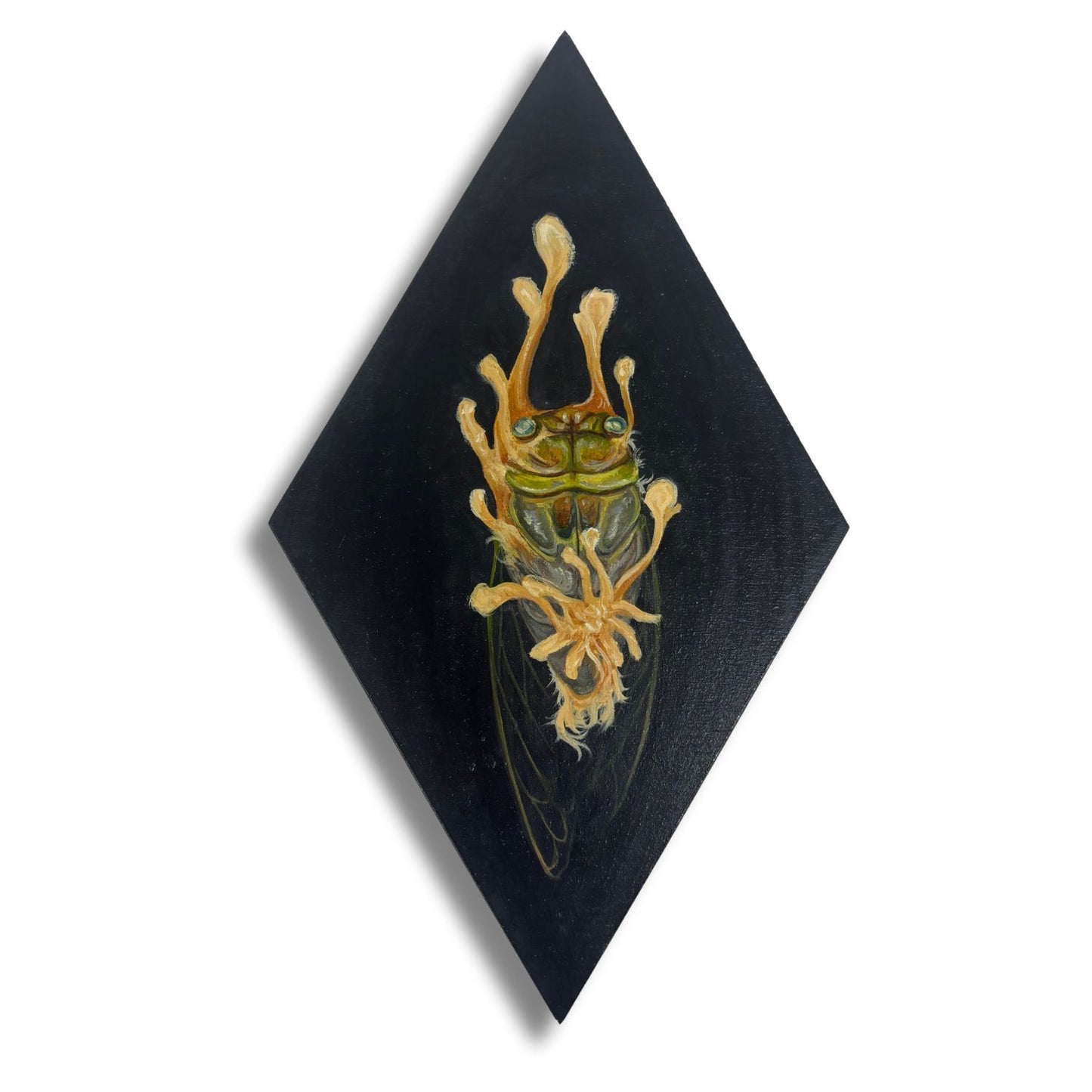 Artistic depiction of a dead cicada on a black diamond-shaped background